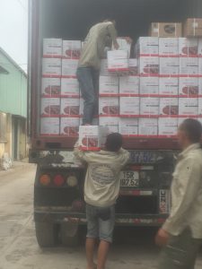 bốc xếp hàng hóa